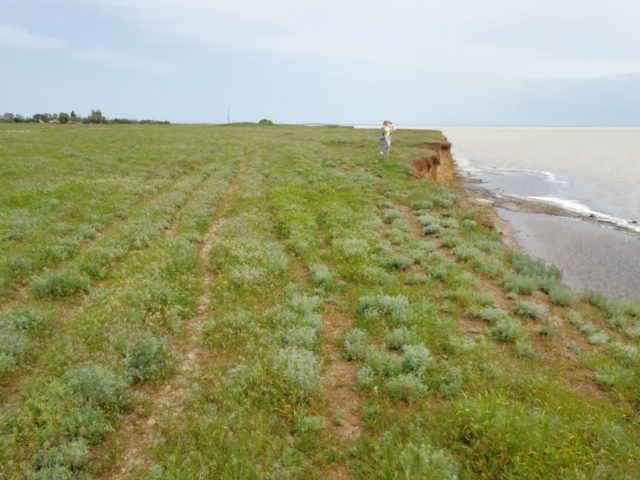 Берег Сиваш
