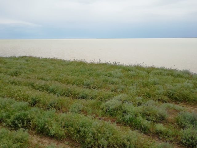 Этот прекрасный вид на Сиваш