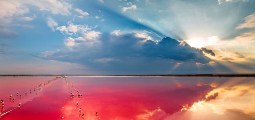 Озеро Сасык как проехать дорога Симферополь Прибрежное Сасык