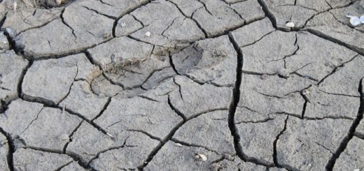 Что происходит с Симферопольским морем водохранилище засохло история