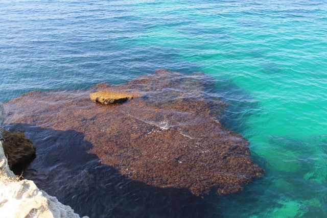 Ребзик Халабуда Черноморское 2020 и шикарное черное море