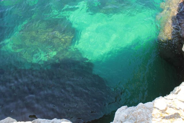 Ребзик Халабуда Черноморское 2020 и шикарное черное море