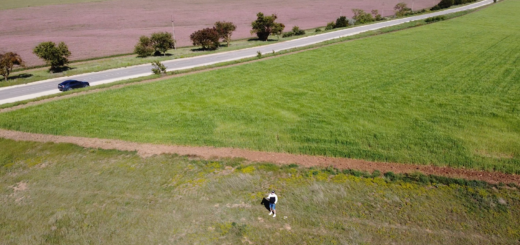 Вокруг Черноморского цветочные и хлебные поля и степь